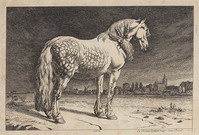KG 04492
<br/>
Fries paard in de wei
<br/>
<em>Potter, Paulus (1625-1654) - kopie naar</em>